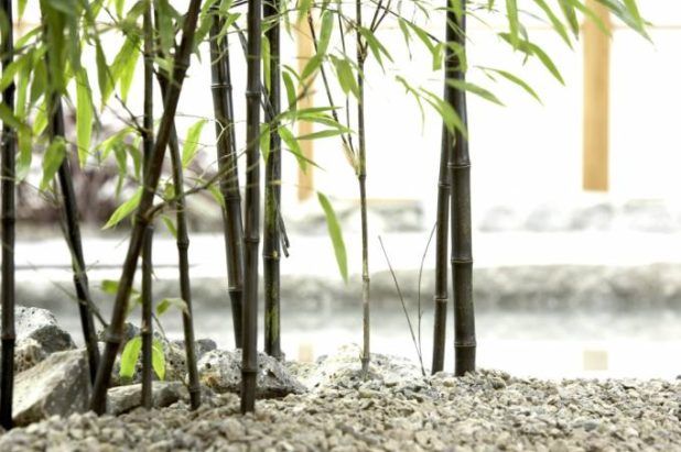 Custom bamboo fabric wristbands for sustainable eco-friendly events