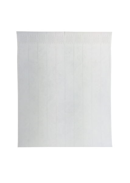 Blank white Tyvek wristband ready for laser printing