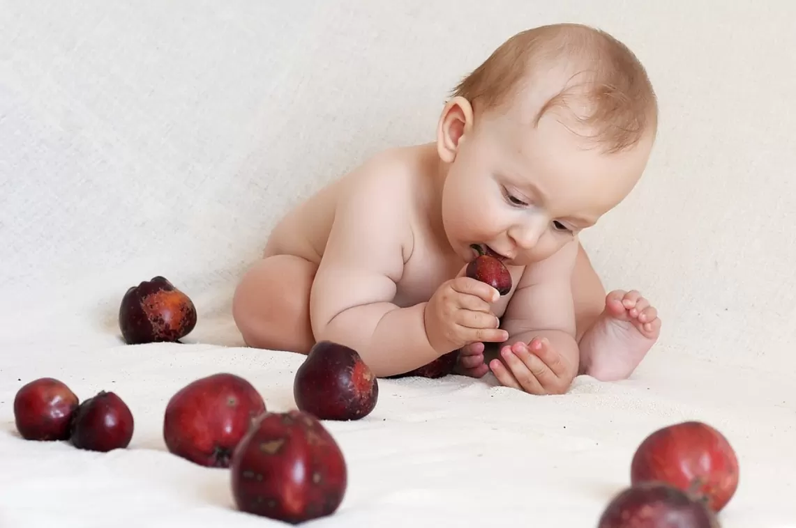 How to Encourage Kids to Eat Healthier: Fun Lunch Box Ideas, Rewards, and Personalised Accessories