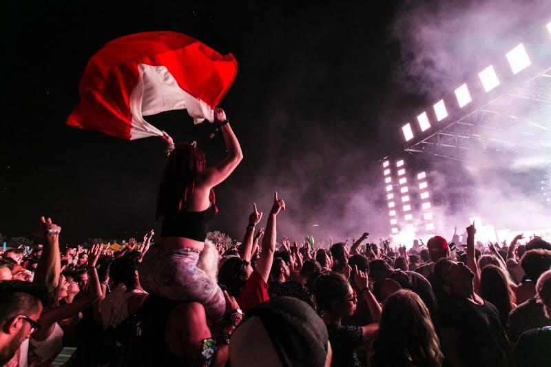 Concert crowd with wristbands managing event access and atmosphere