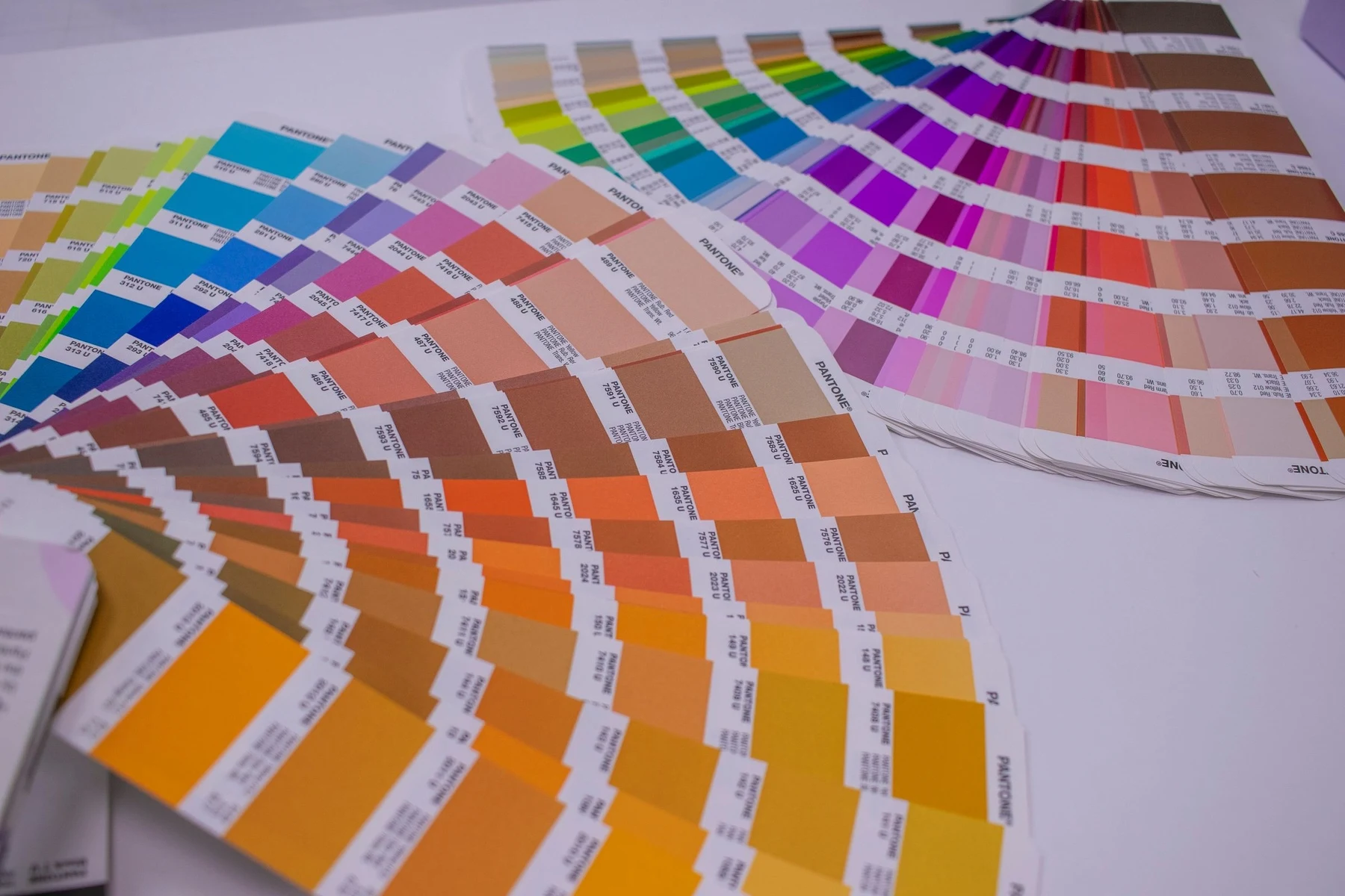 Pantone colour fan decks fanned out across a white surface showing hundreds of printed colour swatches