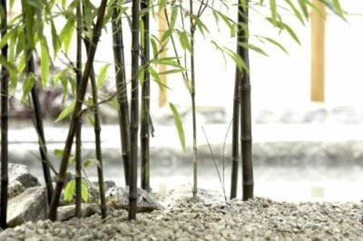 Custom bamboo fabric wristbands for sustainable eco-friendly events
