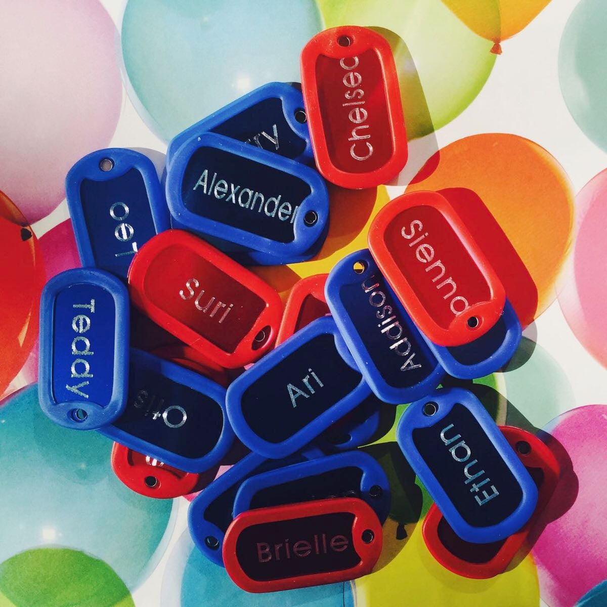 Custom Aluminium Dog Tag